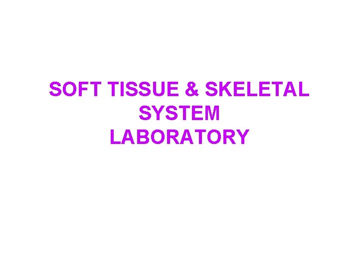 SOFT TISSUE & SKELETAL SYSTEM LABORATORY 