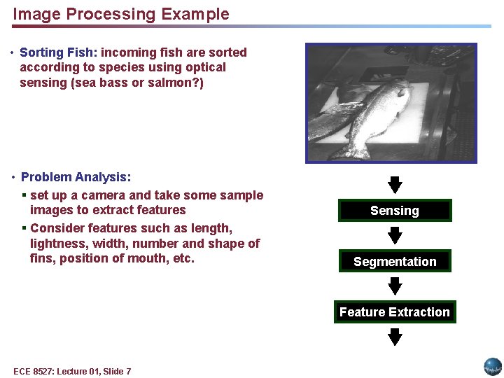 Image Processing Example • Sorting Fish: incoming fish are sorted according to species using