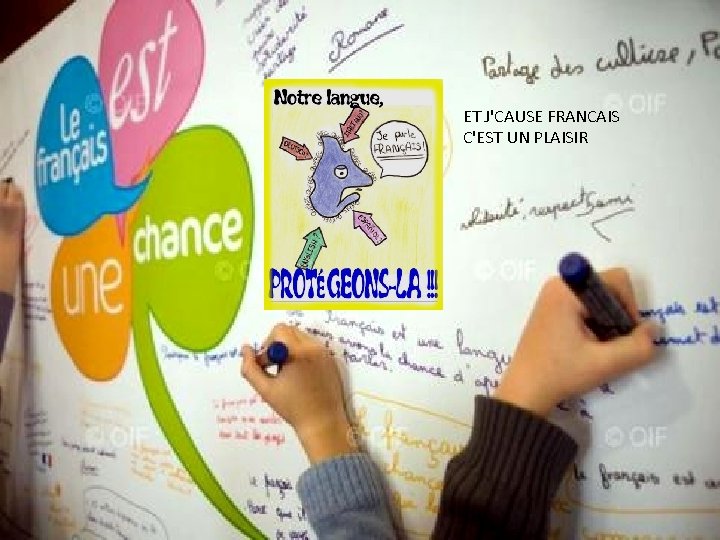 ET J'CAUSE FRANCAIS C'EST UN PLAISIR 