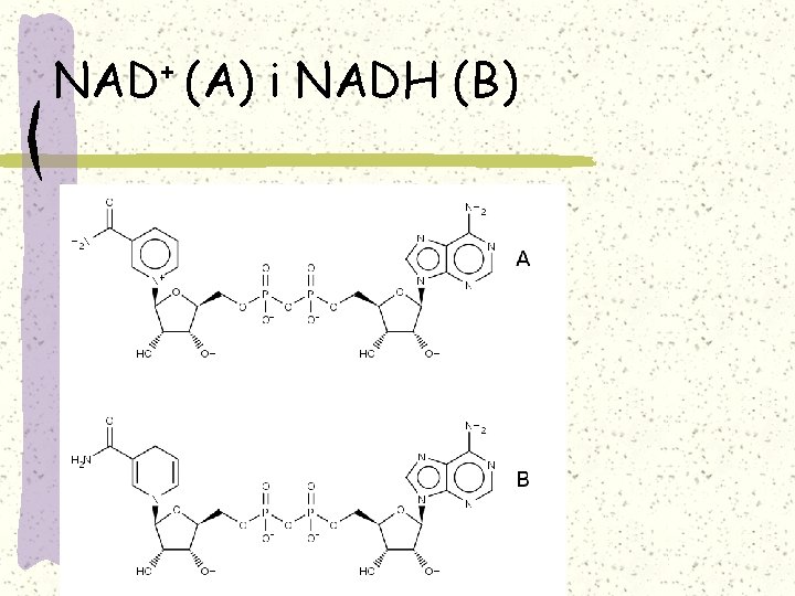 NAD+ (A) i NADH (B) 