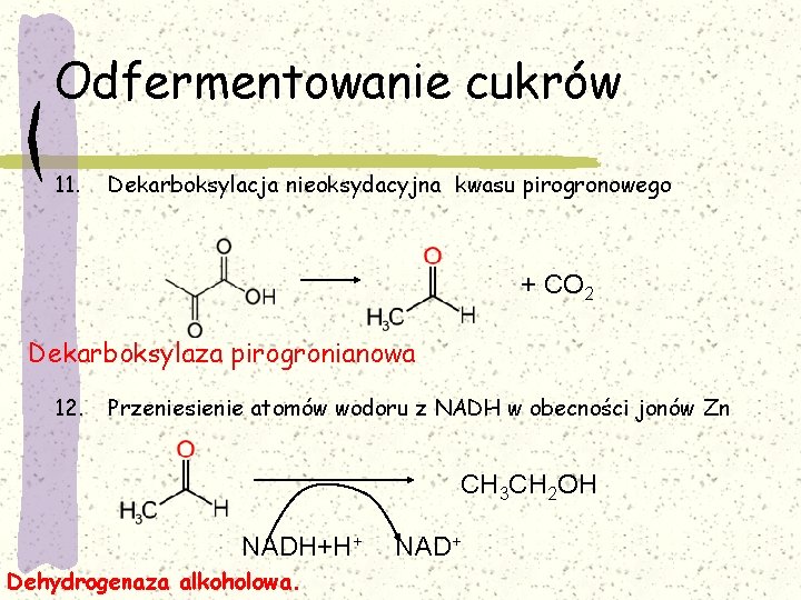 Odfermentowanie cukrów 11. Dekarboksylacja nieoksydacyjna kwasu pirogronowego + CO 2 Dekarboksylaza pirogronianowa 12. Przeniesienie