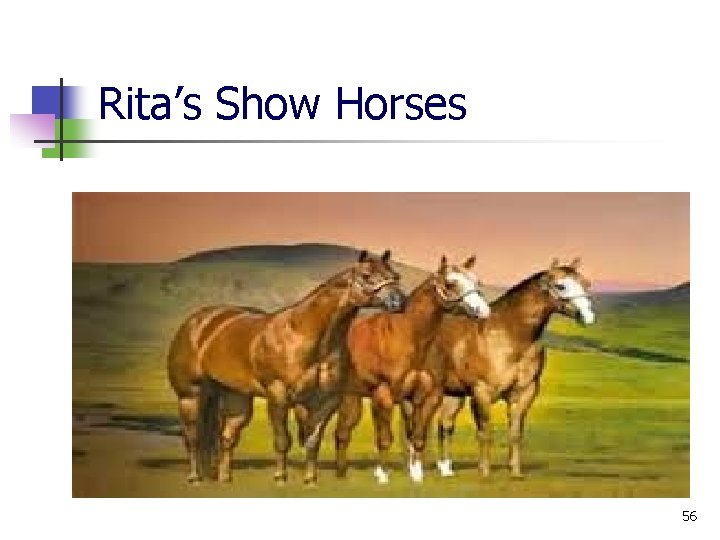 Rita’s Show Horses 56 