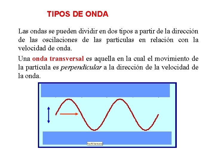 TIPOS DE ONDA Las ondas se pueden dividir en dos tipos a partir de