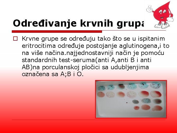 Određivanje krvnih grupa o Krvne grupe se određuju tako što se u ispitanim eritrocitima