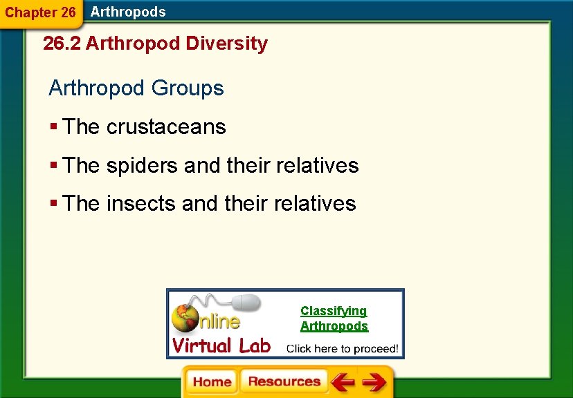 Chapter 26 Arthropods 26. 2 Arthropod Diversity Arthropod Groups § The crustaceans § The