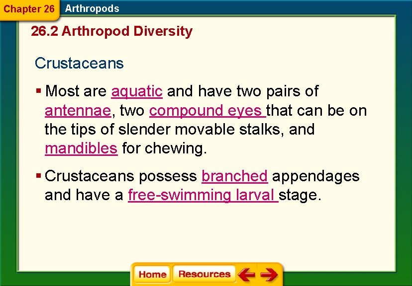 Chapter 26 Arthropods 26. 2 Arthropod Diversity Crustaceans § Most are aquatic and have