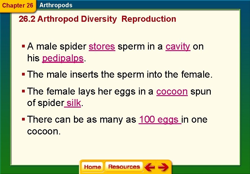 Chapter 26 Arthropods 26. 2 Arthropod Diversity Reproduction § A male spider stores sperm