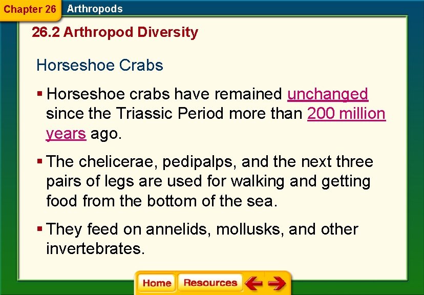Chapter 26 Arthropods 26. 2 Arthropod Diversity Horseshoe Crabs § Horseshoe crabs have remained