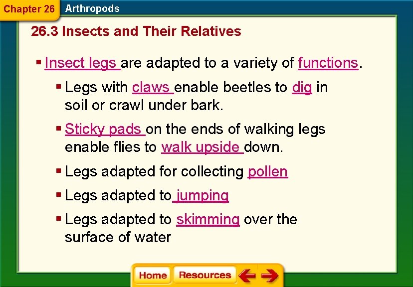 Chapter 26 Arthropods 26. 3 Insects and Their Relatives § Insect legs are adapted