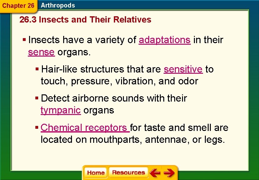 Chapter 26 Arthropods 26. 3 Insects and Their Relatives § Insects have a variety