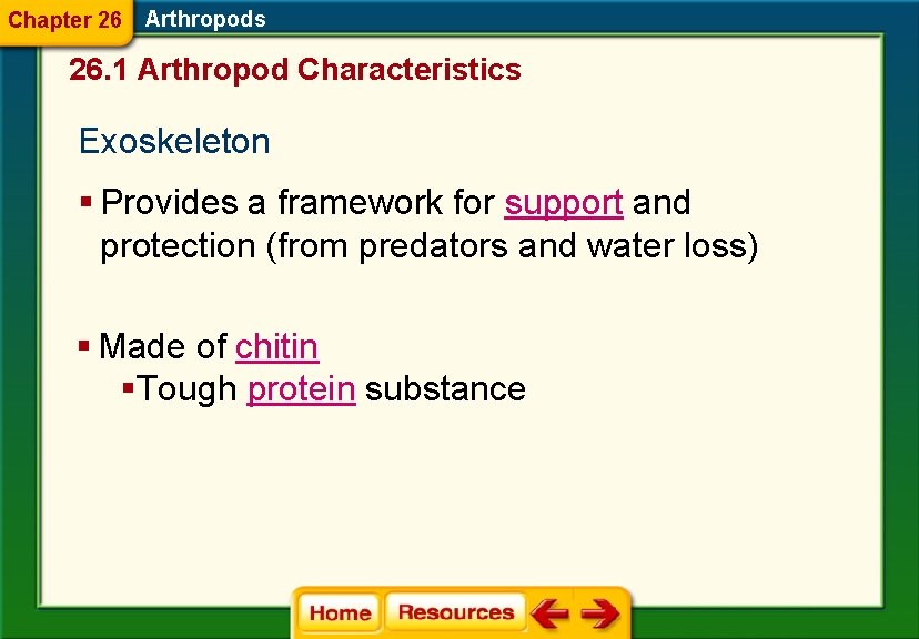 Chapter 26 Arthropods 26. 1 Arthropod Characteristics Exoskeleton § Provides a framework for support