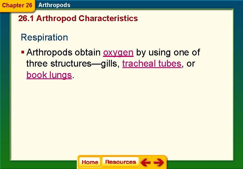 Chapter 26 Arthropods 26. 1 Arthropod Characteristics Respiration § Arthropods obtain oxygen by using