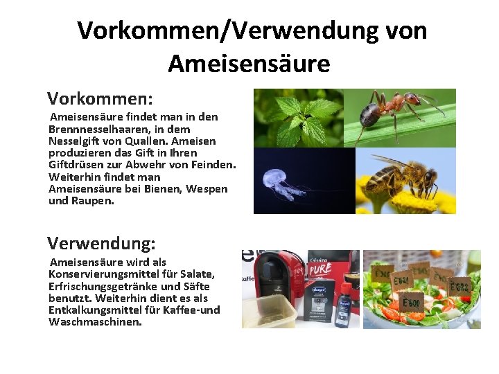 Vorkommen/Verwendung von Ameisensäure Vorkommen: Ameisensäure findet man in den Brennnesselhaaren, in dem Nesselgift Vorkommen/Verwendung von Ameisensäure Vorkommen: Ameisensäure findet man in den Brennnesselhaaren, in dem Nesselgift