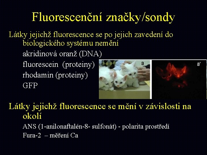 Fluorescenční značky/sondy Látky jejichž fluorescence se po jejich zavedení do biologického systému nemění akridinová