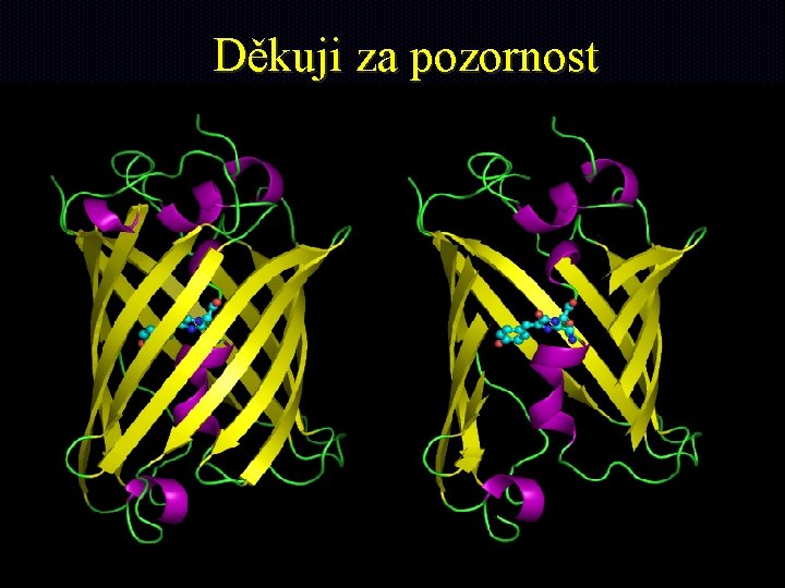 Děkuji za pozornost 