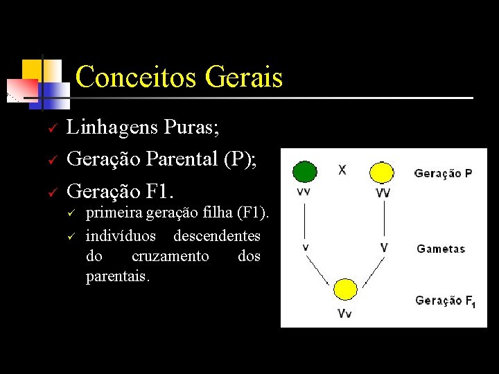 Conceitos Gerais ü ü ü Linhagens Puras; Geração Parental (P); Geração F 1. ü