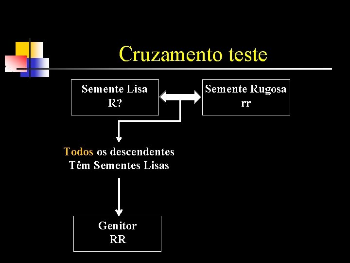 Cruzamento teste Semente Lisa R? Todos os descendentes Têm Sementes Lisas Genitor RR Semente