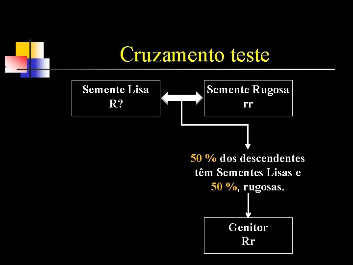 Cruzamento teste Semente Lisa R? Semente Rugosa rr 50 % dos descendentes têm Sementes