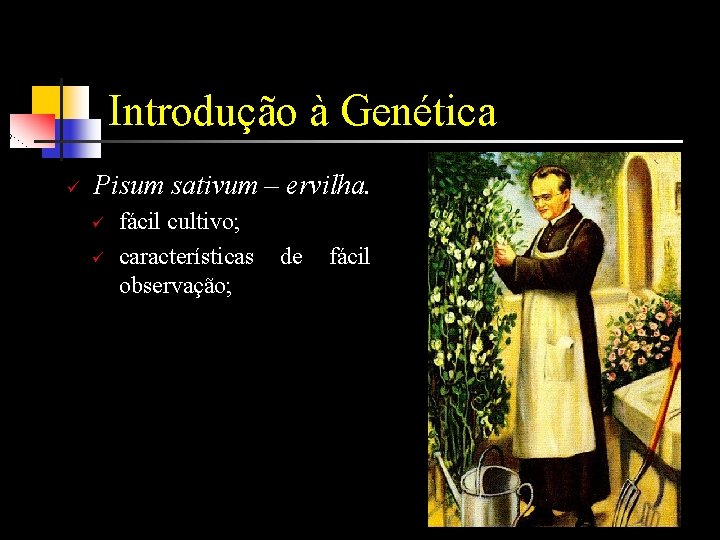 Introdução à Genética ü Pisum sativum – ervilha. ü ü fácil cultivo; características observação;