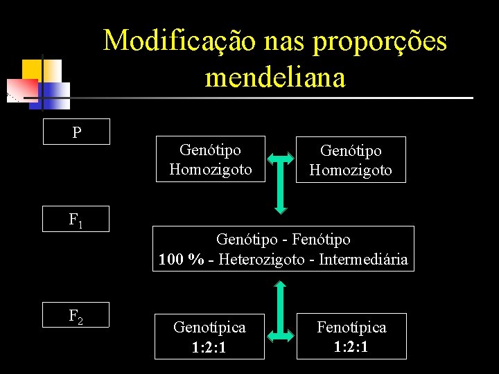 Modificação nas proporções mendeliana P F 1 F 2 Genótipo Homozigoto Genótipo - Fenótipo