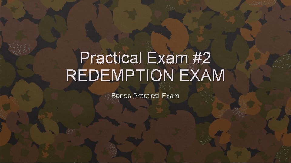 Practical Exam #2 REDEMPTION EXAM Bones Practical Exam 