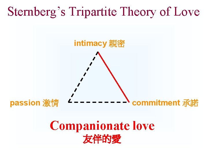 Sternberg’s Tripartite Theory of Love intimacy 親密 passion 激情 commitment 承諾 Companionate love 友伴的愛