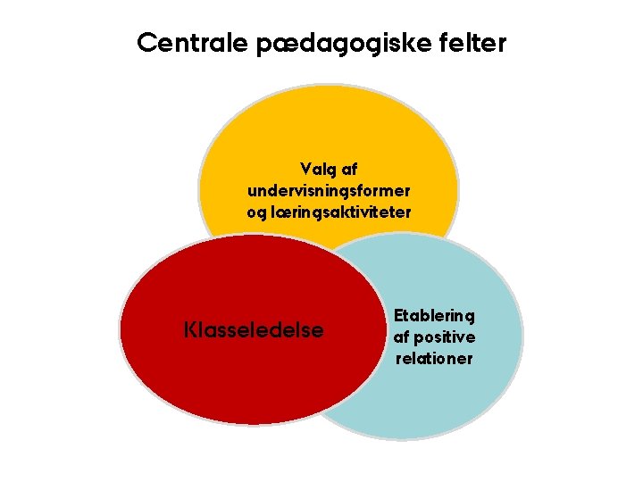 Centrale pædagogiske felter Valg af undervisningsformer og læringsaktiviteter Cen Klasseledelse Etablering af positive relationer