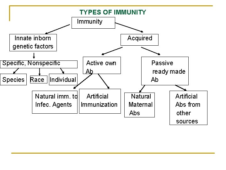 TYPES OF IMMUNITY Immunity Innate inborn genetic factors Specific, Nonspecific Acquired Active own Ab
