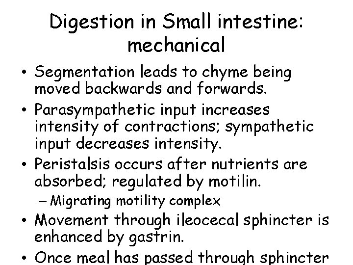 Digestion in Small intestine: mechanical • Segmentation leads to chyme being moved backwards and
