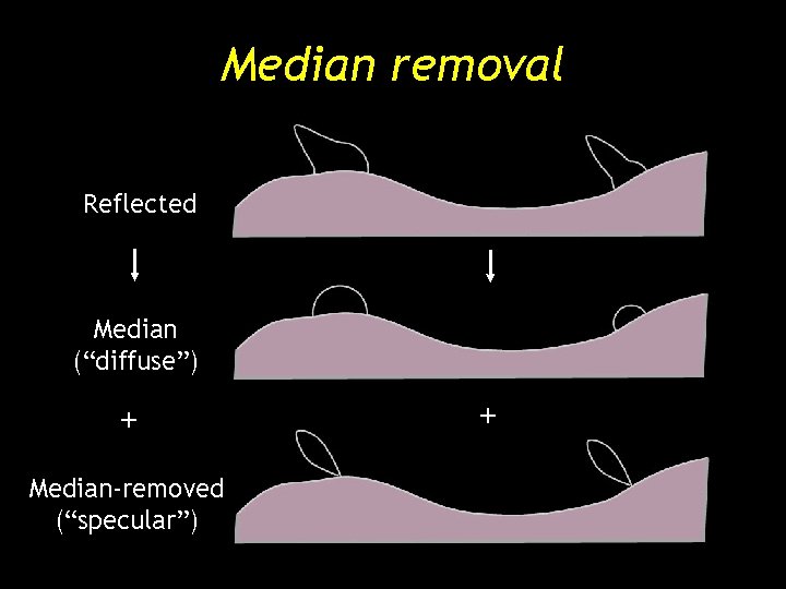 Median removal Reflected Median (“diffuse”) + Median-removed (“specular”) + Median removal Reflected Median (“diffuse”) + Median-removed (“specular”) +