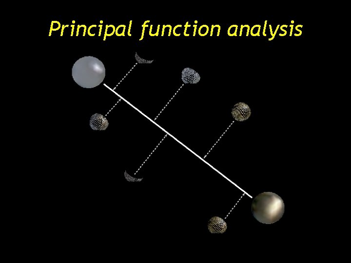 Principal function analysis Principal function analysis