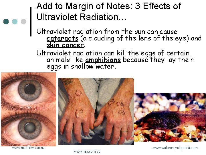 Add to Margin of Notes: 3 Effects of Ultraviolet Radiation… Ultraviolet radiation from the
