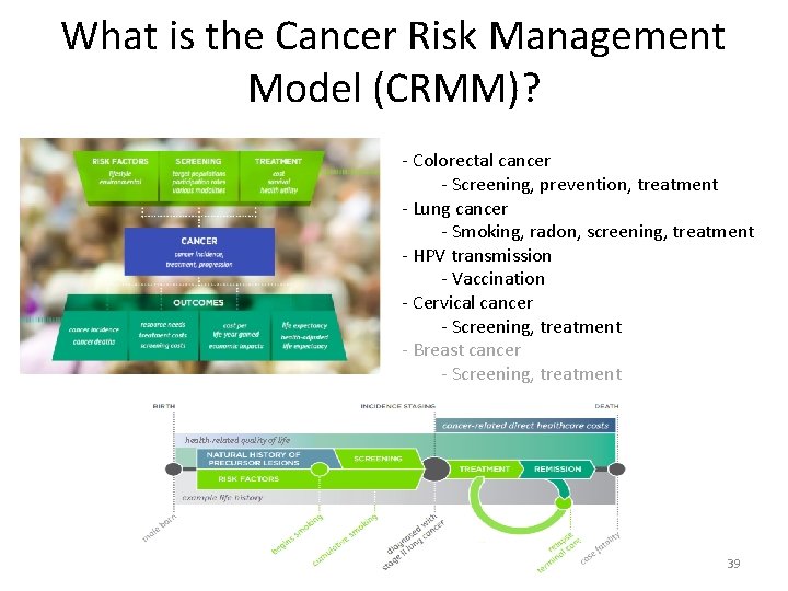 What is the Cancer Risk Management Model (CRMM)? - Colorectal cancer - Screening, prevention,