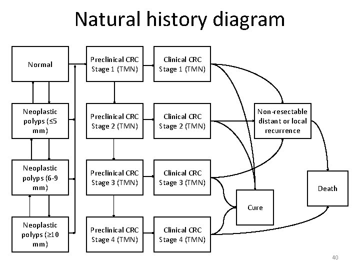 Natural history diagram Normal Preclinical CRC Stage 1 (TMN) Clinical CRC Stage 1 (TMN)