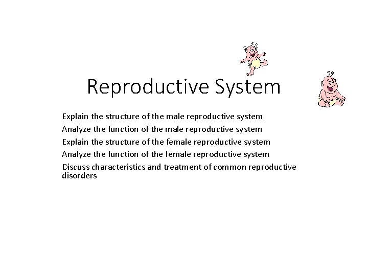 Reproductive System Explain the structure of the male reproductive system Analyze the function of
