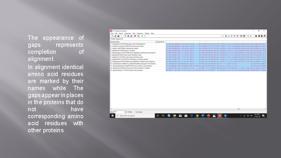 The appearance of gaps represents completion of alignment. In alignment identical amino acid residues