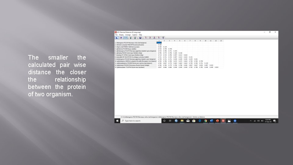 The smaller the calculated pair wise distance the closer the relationship between the protein