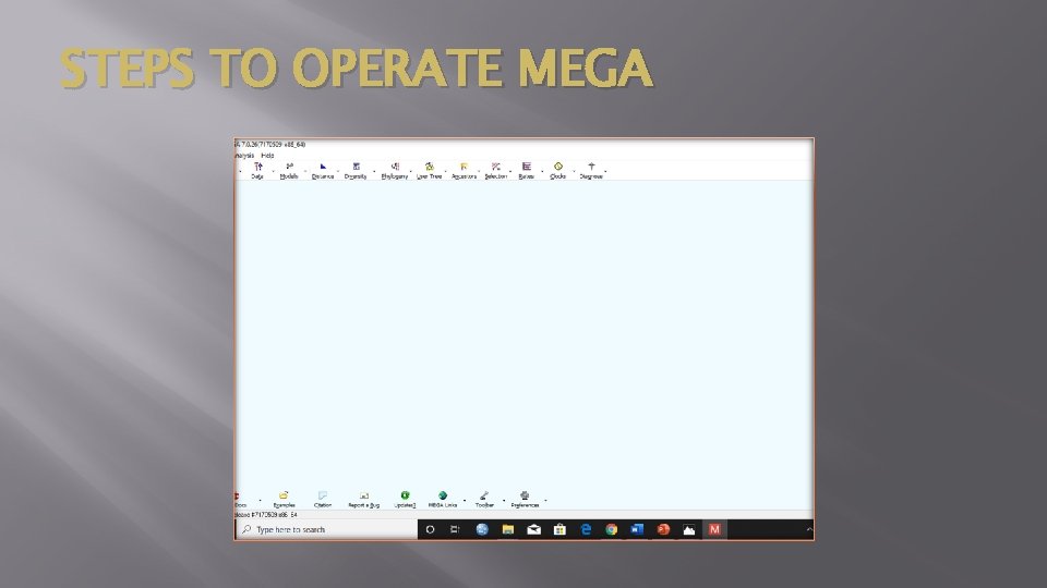 STEPS TO OPERATE MEGA 