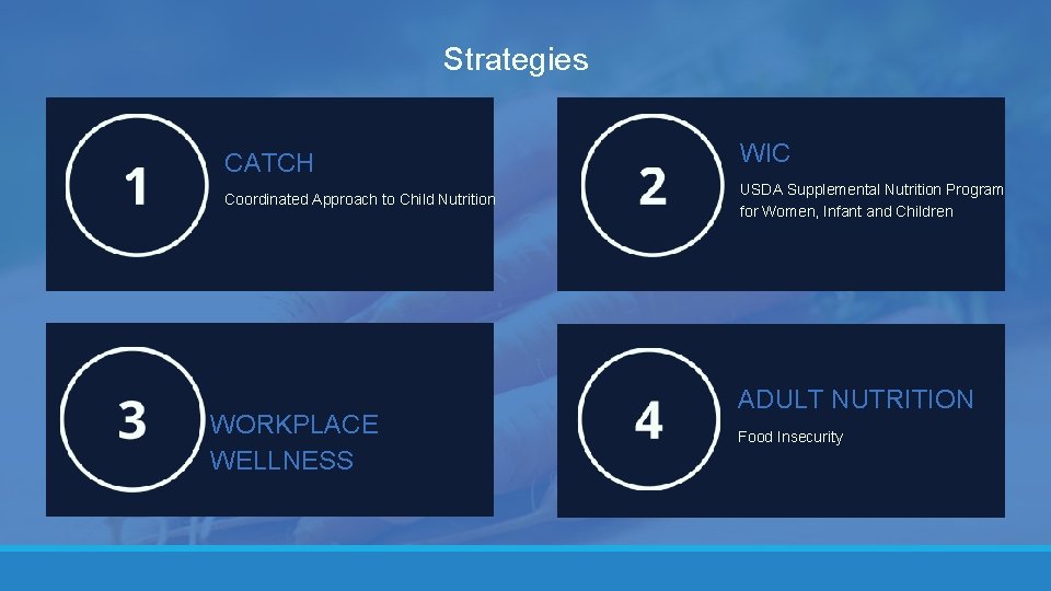 Strategies CATCH Coordinated Approach to Child Nutrition WORKPLACE WELLNESS WIC USDA Supplemental Nutrition Program