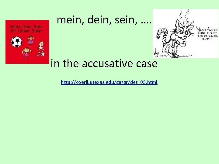 mein, dein, sein, …. in the accusative case http: //coerll. utexas. edu/gg/gr/det_05. html 