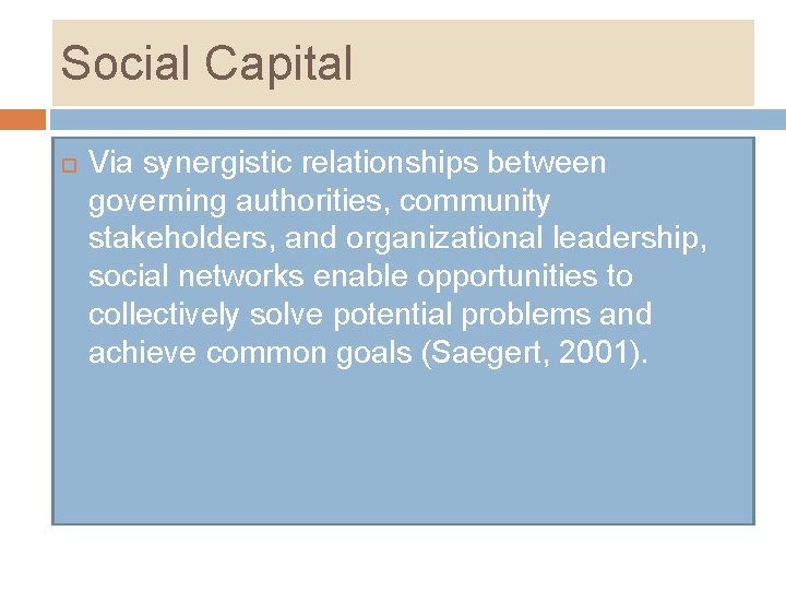 Social Capital Via synergistic relationships between governing authorities, community stakeholders, and organizational leadership, social