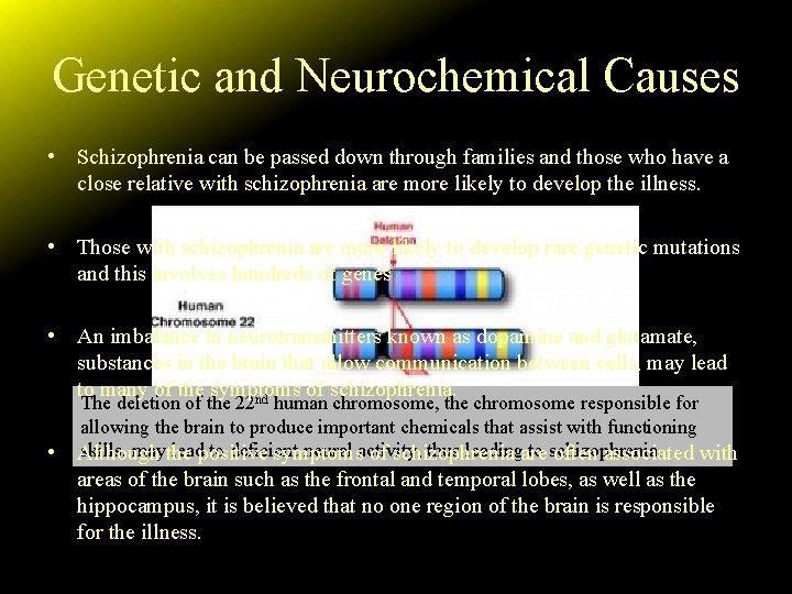 Genetic and Neurochemical Causes • Schizophrenia can be passed down through families and those