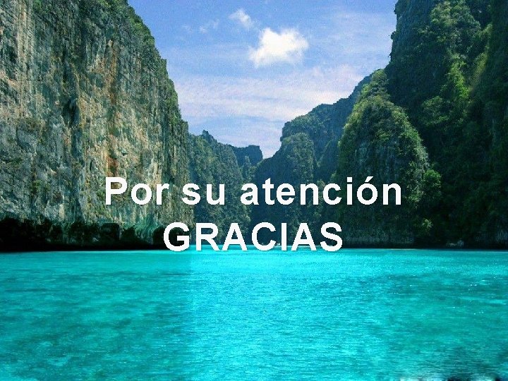 Por su atención GRACIAS 