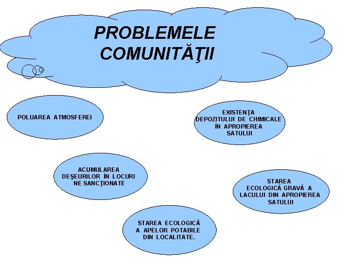 PROBLEMELE COMUNITĂŢII POLUAREA ATMOSFEREI EXISTENŢA DEPOZITULUI DE CHIMICALE ÎN APROPIEREA SATULUI ACUMULAREA DEŞEURILOR ÎN