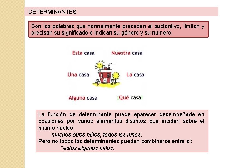  DETERMINANTES Son las palabras que normalmente preceden al sustantivo, limitan y precisan su