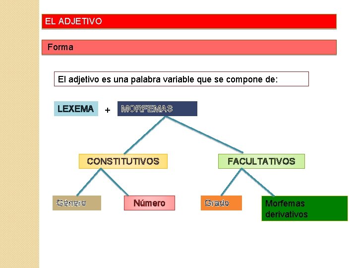 EL ADJETIVO Forma El adjetivo es una palabra variable que se compone de: LEXEMA