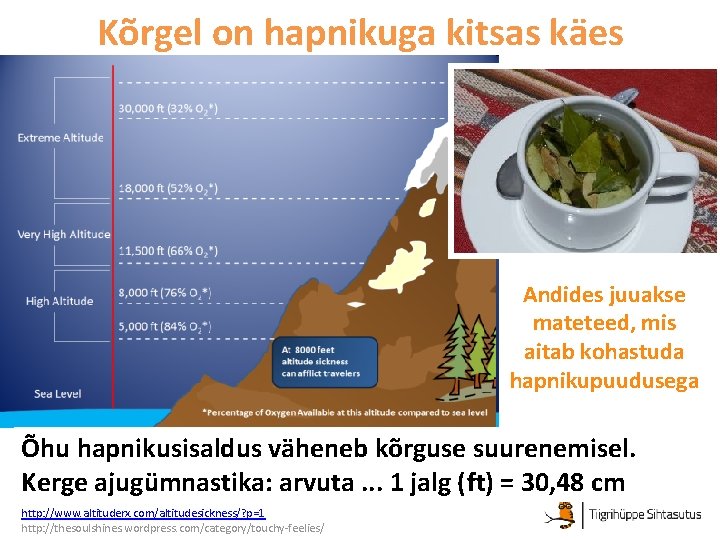 Kõrgel on hapnikuga kitsas käes Andides juuakse mateteed, mis aitab kohastuda hapnikupuudusega Õhu hapnikusisaldus Kõrgel on hapnikuga kitsas käes Andides juuakse mateteed, mis aitab kohastuda hapnikupuudusega Õhu hapnikusisaldus