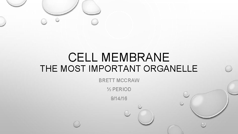 CELL MEMBRANE THE MOST IMPORTANT ORGANELLE BRETT MCCRAW ½ PERIOD 9/14/16 