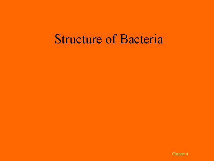 Structure of Bacteria Chapter 4 