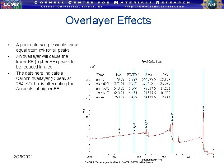 Overlayer Effects • • • A pure gold sample would show equal atomic% for Overlayer Effects • • • A pure gold sample would show equal atomic% for